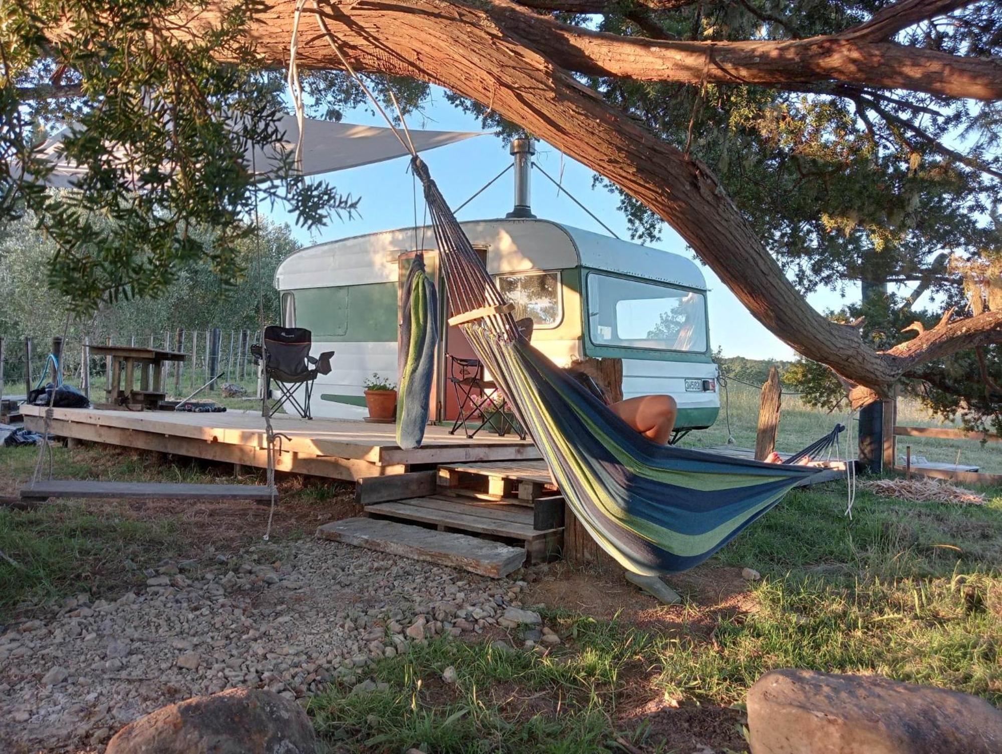 Campsite Down To Earth Nz Kerikeri